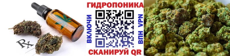 где купить наркотик  Одинцово  Cannafood конопля 