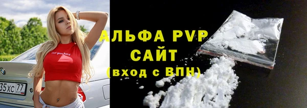 гашик Алексин