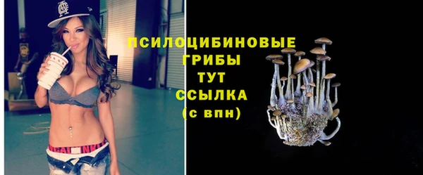 spice Алексеевка