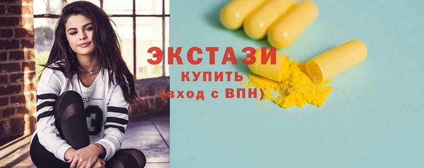 гашик Алексин