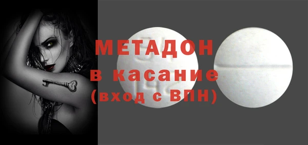 гашик Алексин
