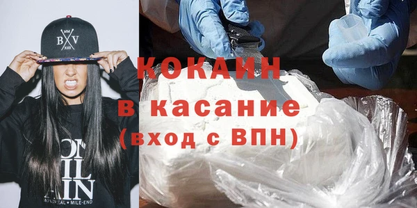 гашик Алексин
