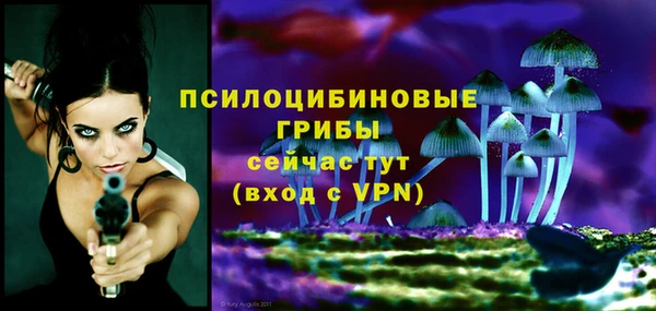 spice Алексеевка