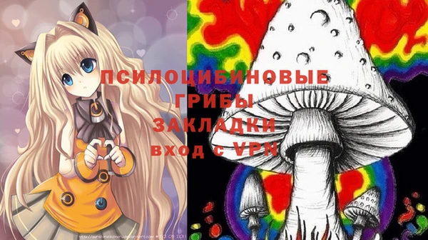 spice Алексеевка