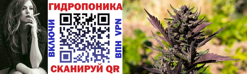 Бошки марихуана конопля  площадка телеграм  Одинцово 